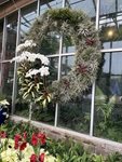 OrchidWreath