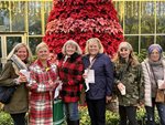 PoinsettiaGroup