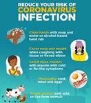 Stay Safe